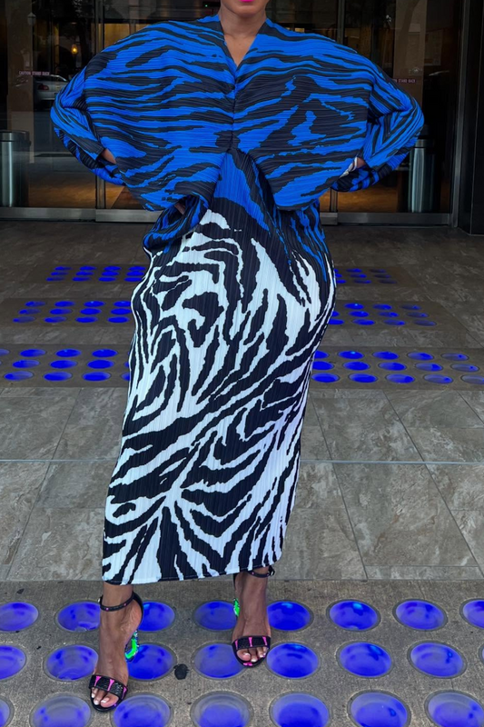 Zebra Accordion Dress