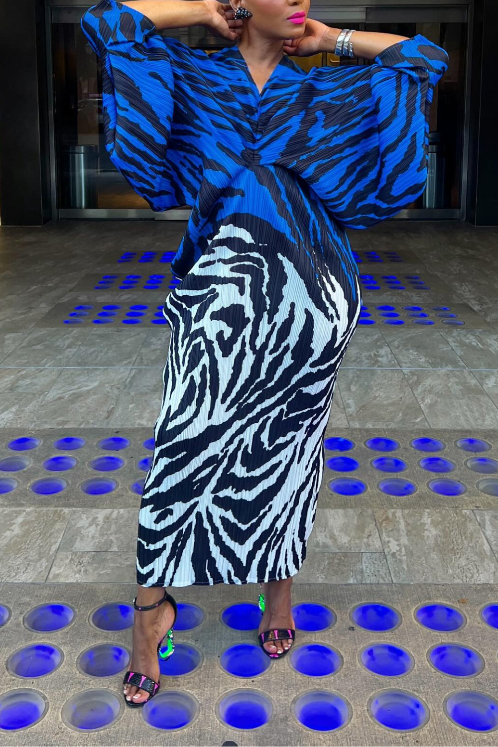 Zebra Accordion Dress